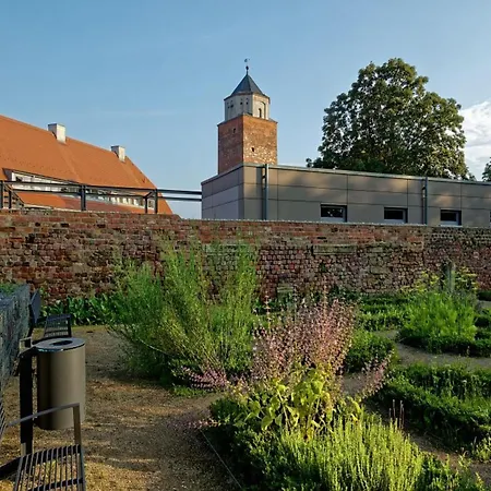 Wohnung, Mit Grill Platz Im Hof Lägenhet