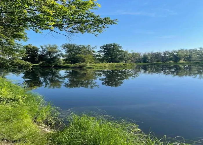 Апартаменты Terrace Saxony Eilenburg