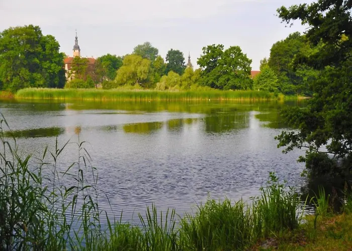 Terrace Saxony Апартаменты Eilenburg