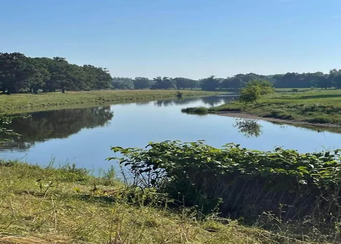 Terrace Saxony Апартаменты