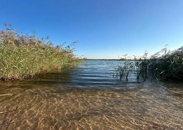 Апартаменты Terrace Saxony Eilenburg